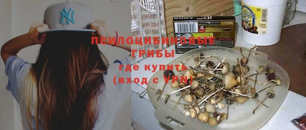 не бодяженный Алзамай