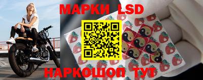 винт Шелехов