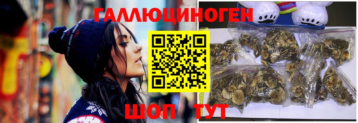 Старая Русса  Псилоцибиновые грибы Psilocybe  Вход с VPN 