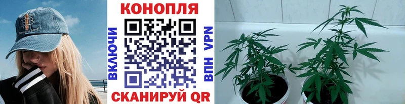магазин наркотиков Старая Русса Бошки Шишки план